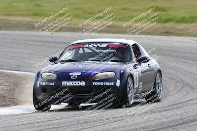 media/Mar-16-2024-CalClub SCCA (Sat) [[de271006c6]]/Group 2/Race/